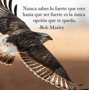 Meet your Posher, Roberto